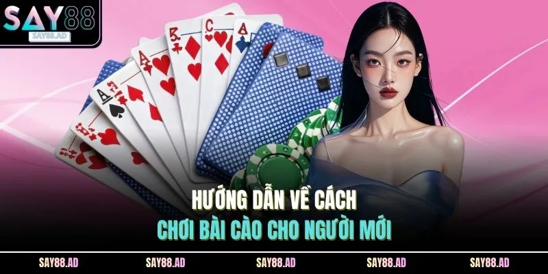 Hướng dẫn về cách chơi bài cào cho người mới